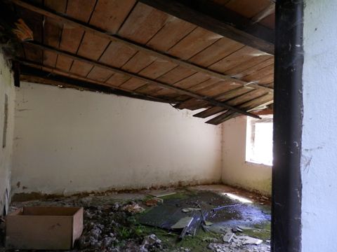 Foto 113
